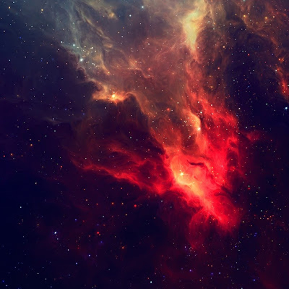 Meet your Posher, Aiden